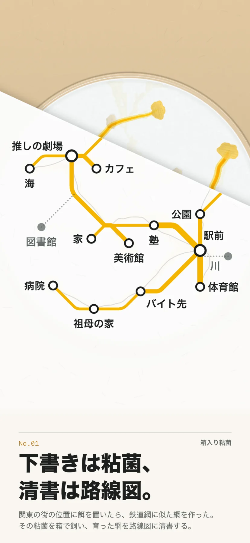 「下書きは粘菌、清書は路線図。」関東の街の位置に餌を置いたら、鉄道網に似た網を作った。その粘菌を箱で飼い、育った網を路線図に清書する。皿の上を紙が斜めにすべっている途中で、右上には黄色い粘菌の管が生きたまま残り、紙の下は推しの劇場・海・カフェ・家・美術館・塾・公園・駅前・体育館・病院・祖母の家・バイト先を山吹色の線で結んだ路線図になっている。図書館と川は灰色の廃駅