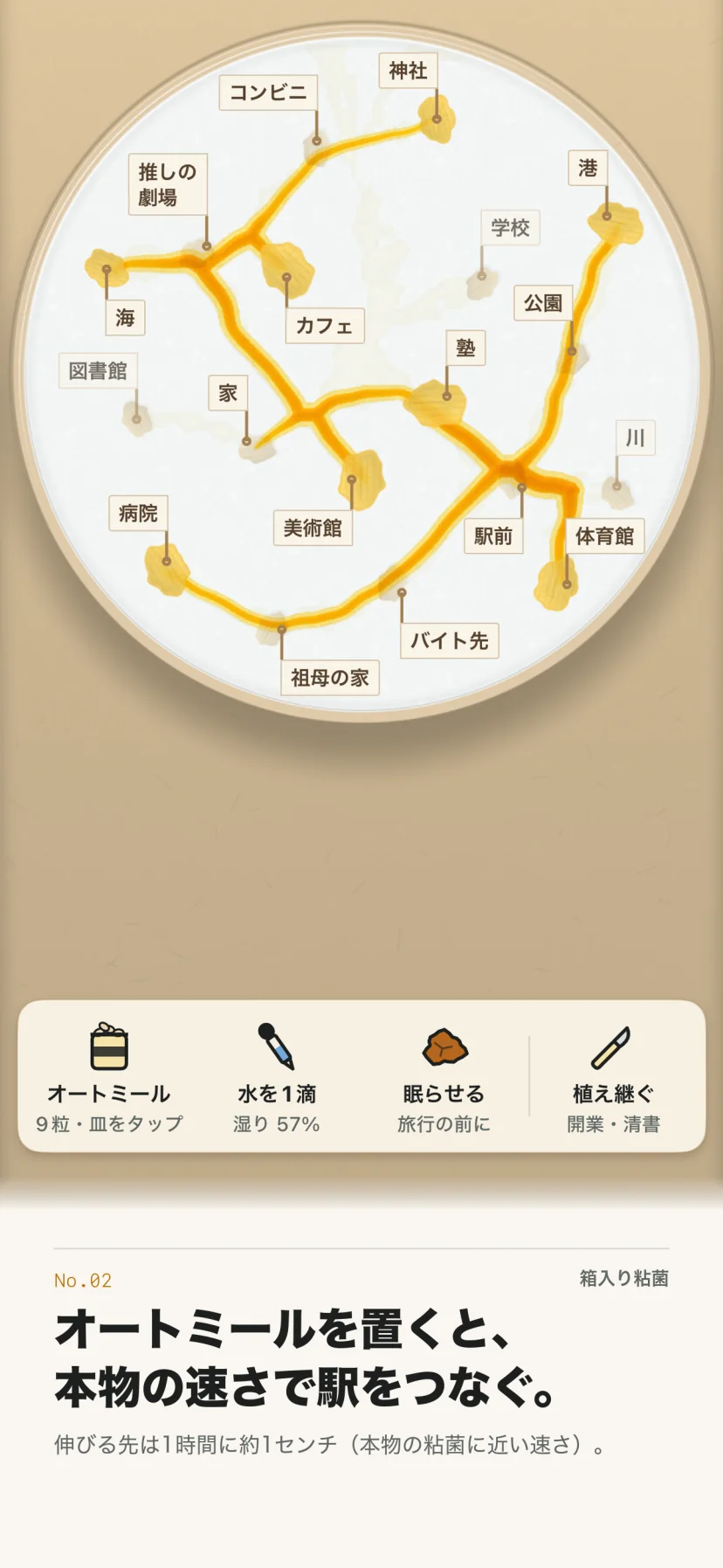 「オートミールを置くと、本物の速さで駅をつなぐ。」伸びる先は1時間に約1センチ(本物の粘菌に近い速さ)。段ボールの床に置いた丸い皿で、神社・コンビニ・推しの劇場・港・海・カフェ・公園・塾・家・病院・美術館・駅前・体育館・バイト先・祖母の家の札を立てたオートミールを、黄色い管の網がつないでいる。学校・図書館・川は網が離れて淡く残る。下に道具の帯(オートミール「9粒・皿をタップ」、水を1滴「湿り57%」、眠らせる「旅行の前に」、植え継ぐ「開業・清書」)