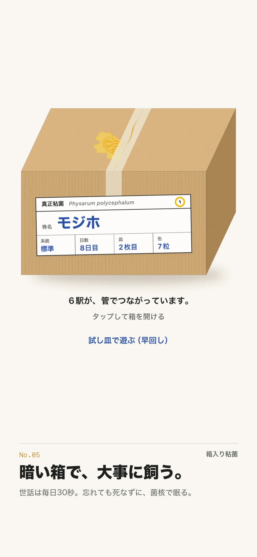 「暗い箱で、大事に飼う。」世話は毎日30秒。忘れても死なずに、菌核で眠る。ふたのテープの際に黄色い粘菌がにじむ段ボール箱に、「真正粘菌 Physarum polycephalum」のラベル。株名モジホ、系統は標準、日数8日目、皿2枚目、缶7粒。「6駅が、管でつながっています。」「タップして箱を開ける」「試し皿で遊ぶ(早回し)」