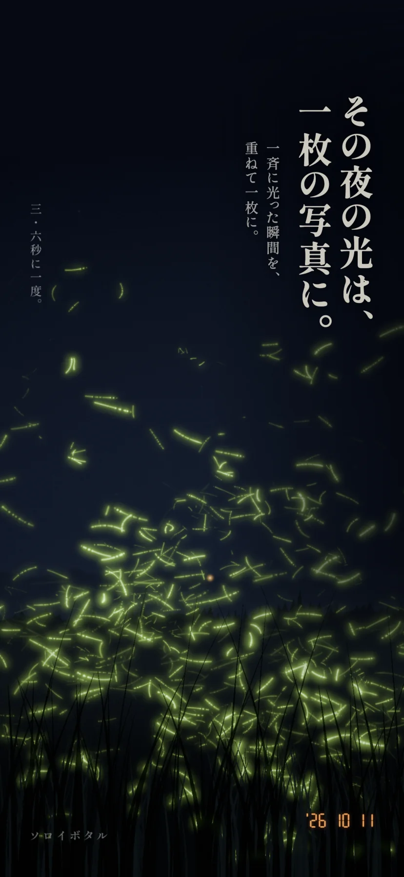 「その夜の光は、一枚の写真に。」一斉に光った瞬間を、重ねて一枚に。現像した写真「今夜の一枚」が画面いっぱいに出ている。ホタル1匹ずつの光の跡が黄緑の短い弧になって草むらの上に重なり、たたいた場所に小さな橙の灯り。左上に縦書きで「三・六秒に一度。」、右下に橙色の日付「'26 10 11」、左下に「ソロイボタル」の名前